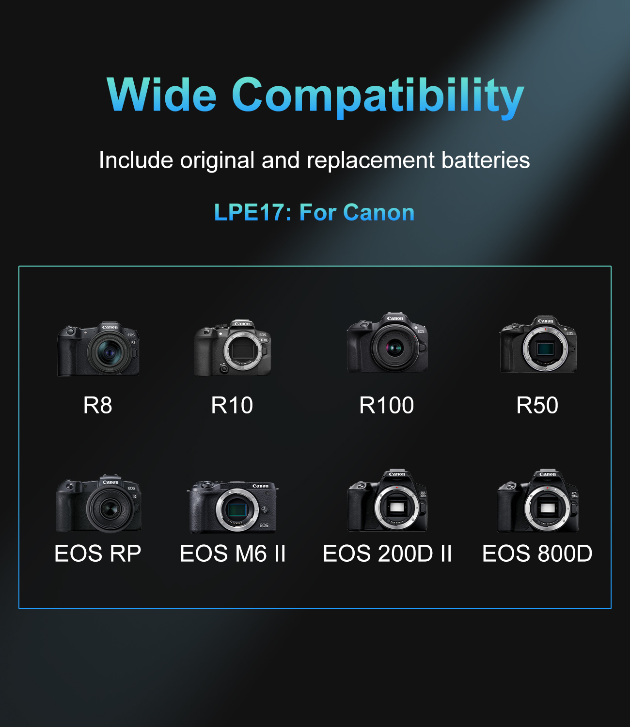 Pengisi Daya USB-C PD Dual Slo - Canon Camera Eos R50 ulasan dan harga